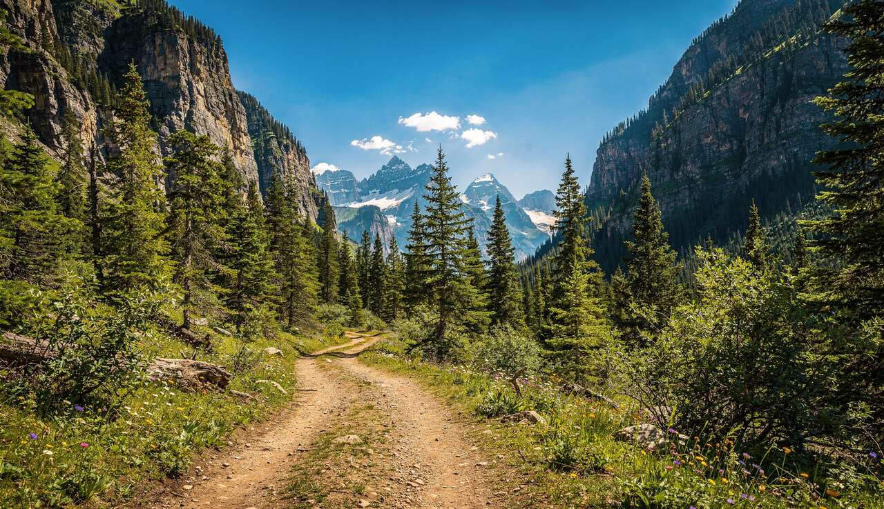 5 erreurs à éviter en trail