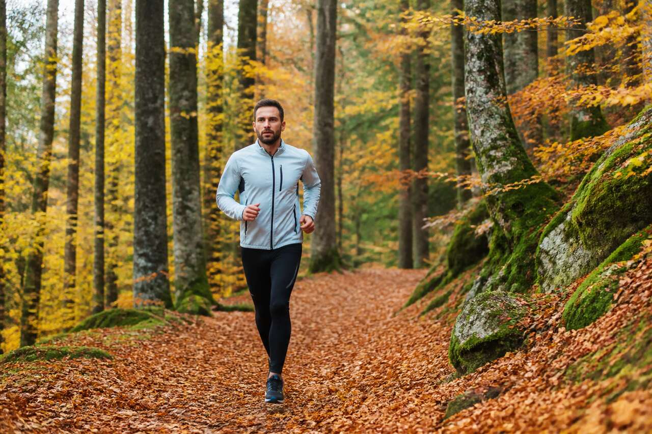 Courir en automne : conseils d'organisation et équipement indispensable
