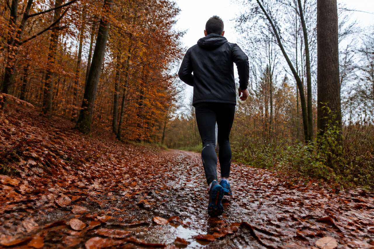 Pieds au sec, adhérence et chaussures: gérer boue, feuilles et humidité Pieds au sec, adhérence et chaussures: gérer boue, feuilles et humidité