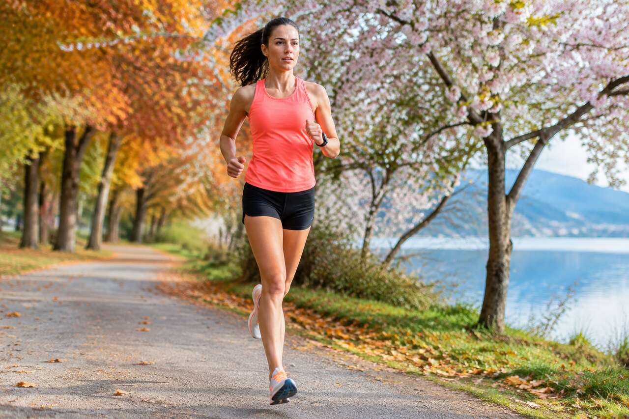 Marathon : printemps ou automne ?